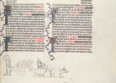 Transport des biens dans une charrette tirée par des bœufs, miniature inachevée de la Bible de Jean de Sy, c.1355 - French School