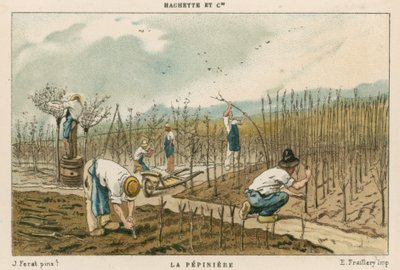 Pépinière d