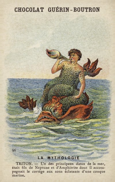 Triton - French School