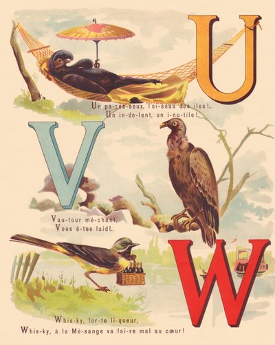 Émeu noir, vautour, bergeronnette, whisky - French School