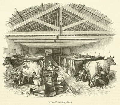 Une Etable anglaise (engraving) - French School