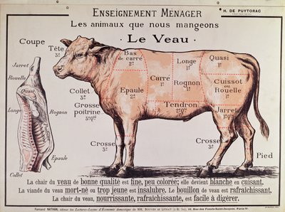 Veau : diagramme représentant les différentes coupes de viande - French School