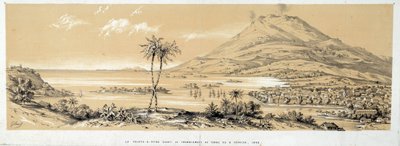 Vue de Pointe-à-Pitre avant le tremblement de terre. Gravure de 1843. Chartres, Musée des Beaux-Arts - French School
