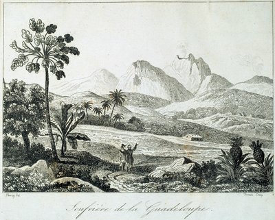 Vue d