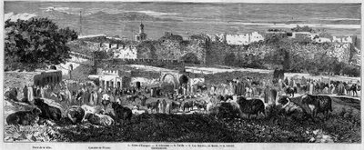 Vue de la ville de Tanger (Maroc), le jour de la marche arabe. Gravure dans "Le Monde Illustré" n°129 du 1er octobre 1859. - French School