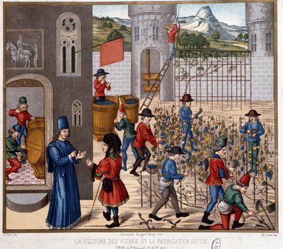 Culture de la vigne et vinification au Moyen Âge - French School