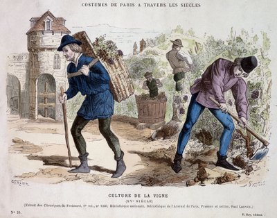 Culture de la vigne au 15e siècle - dans Costume de Paris à travers les siècles - French School