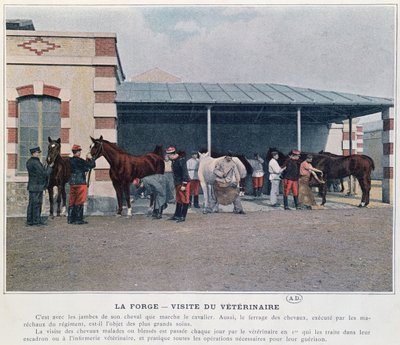 Visite du vétérinaire de l
