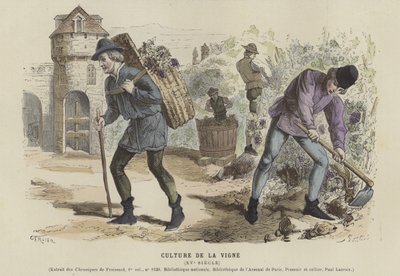 Viticulture, 15ème siècle - French School