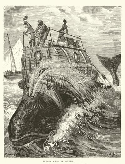 Voyage a Dos de Baleine (engraving) - French School