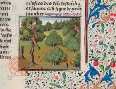 Attente des cerfs cachés dans un arbre, du Livre de la Chasse par Gaston Phébus - French School