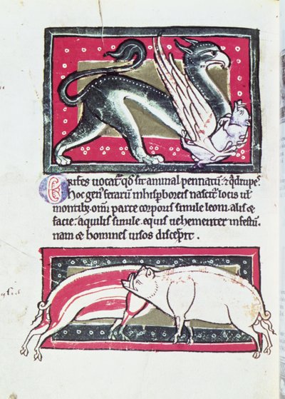 Sanglier et griffon, miniature du Bestiaire de Saltykowchsh Edrin - French School