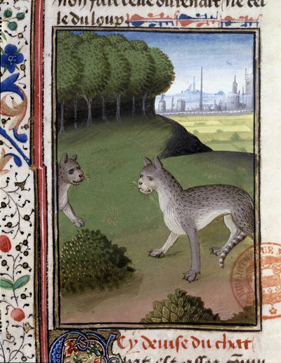 Chats sauvages - dans « Livre de chasse de Gaston Phébus, comte de Foix, seigneur de Béarn » - French School