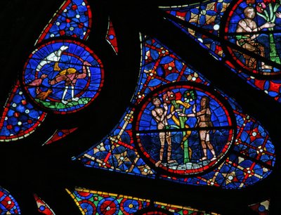 Fenêtre w115 représentant la Création : oiseaux, Adam et Ève et le serpent - French School