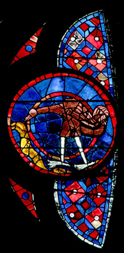 La Création des oiseaux - un oiseau inhabituel - French School