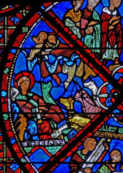 Le corps mort de Saint Étienne est abandonné ; les animaux sont découragés par les oiseaux - French School