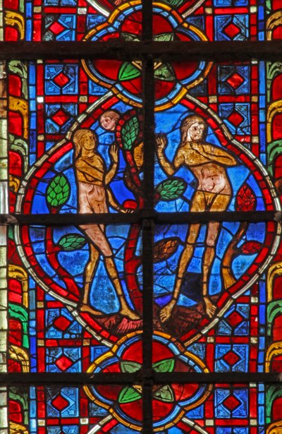 Vitrail w207 représentant Adam et Ève et le Serpent - French School