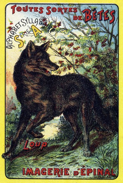 Loup. Couverture de "Syllabaire alphabet toutes sortes de betteraves". Série A. Pellerin et Cie, imprimeurs-éditeurs, Épinal, fin du 19e siècle. - French School