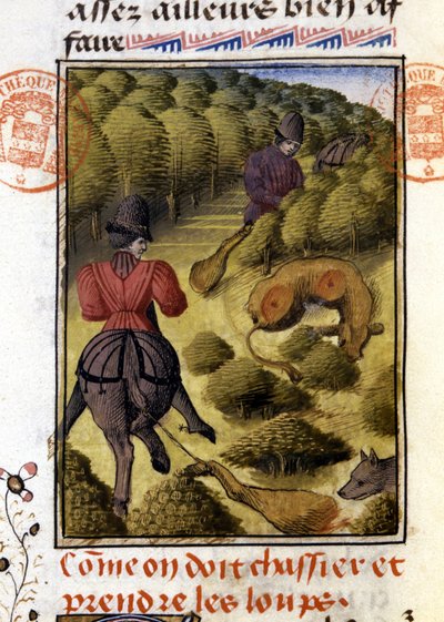 Chasse au loup - dans « Livre de chasse de Gaston Phébus, comte de Foix, seigneur de Béarn » - French School