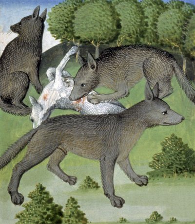 Loups - French School