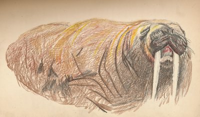 Endormi et en colère, 12 septembre 1893. Esquisse au pastel, 1893, 1897 - Fridtjof Nansen