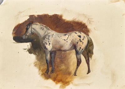 Cheval tacheté - Friedrich August Mathias Gauermann