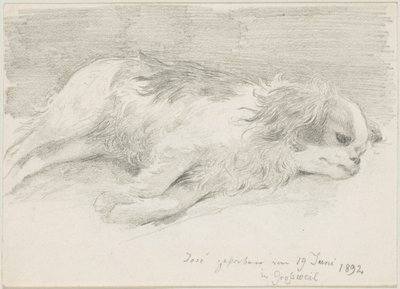 Études de chiens - Friedrich August von Kaulbach