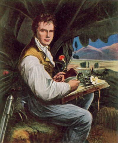 Alexander von Humboldt, géographe, naturaliste et explorateur prussien - Friedrich Georg (after) Weitsch