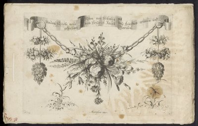 Différents nouveaux festons de fleurs et de fruits - Friedrich Jacob Morisson