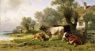 Bétail dans une cour de ferme le long d