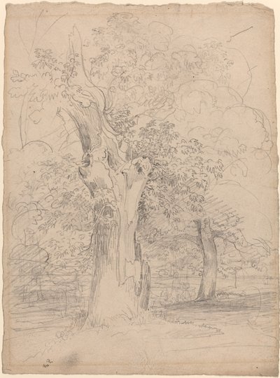 Un arbre ancien avec des figures dans un paysage - Friedrich Salathé