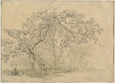 Bosquet d
