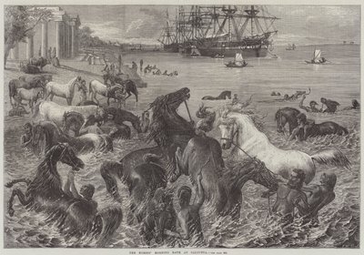 Le bain du matin des chevaux à Calcutta - Friedrich Wilhelm Keyl