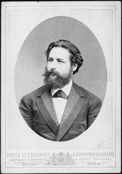 Portrait du pianiste et compositeur Heinrich Karl Johann Hofmann 1842-1902 - Fritz Luckhardt