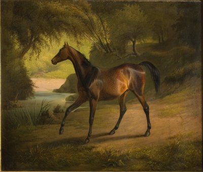 Antonia - Fritz Thomsen