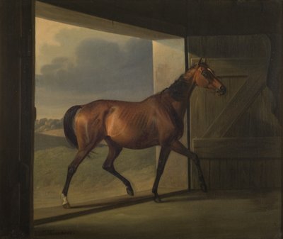 Jutta - Fritz Thomsen