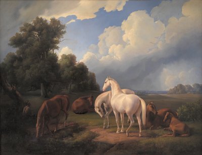 Lucia, Whimsey, Bellona, Hertha, Olga - Fritz Thomsen