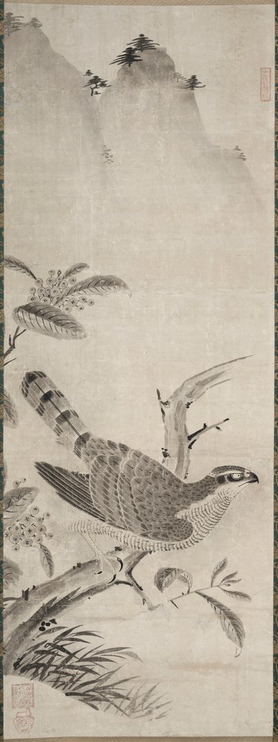Faucon - Fujiwara Masayoshi