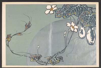 Shasei sôka môyô, Motifs de plantes et de fleurs de la vie - Furuya Korin