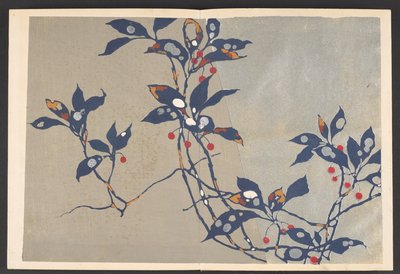 Shasei sôka môyô, Motifs de plantes et de fleurs de la vie - Furuya Korin