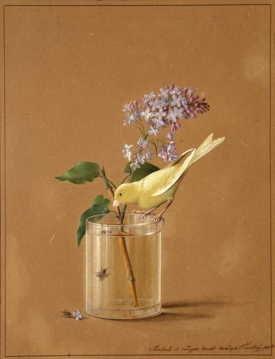 Canari sur une branche de lilas - Fyodor Petrovich Tolstoy