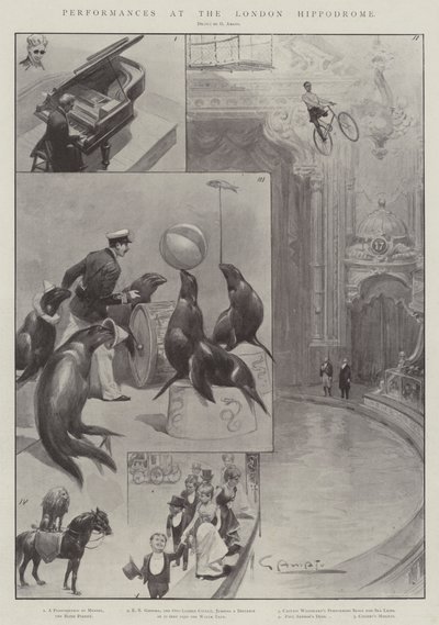Spectacles au London Hippodrome - G.S. Amato