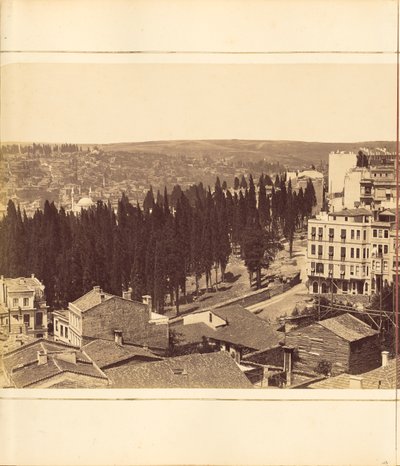 [Planche 13] - G. Berggren