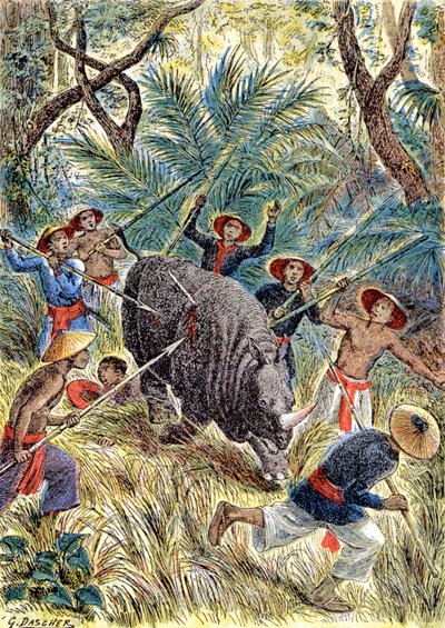 Chasse au rhinocéros, Indochine française (illustration) - G. Dascher