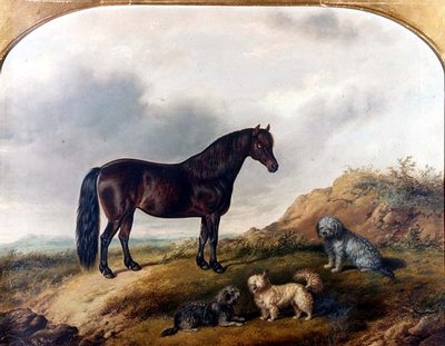 Un poney et trois terriers dans un paysage - G. Jackson