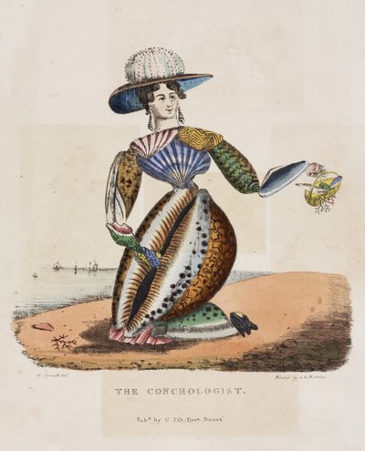 Le conchologiste, vers 1831 - G. Spratt