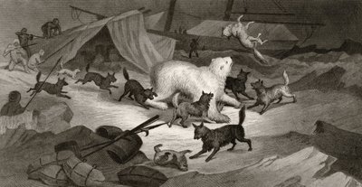 Chasse à l