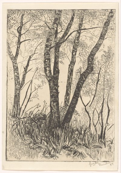 Arbres dans les hautes herbes - G. van der Mey (signed by artist)