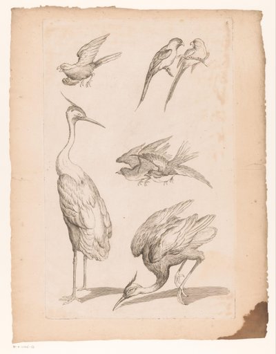 Sept oiseaux chinois, y compris des hérons et des perroquets - Gabriel Huquier (attributed to)