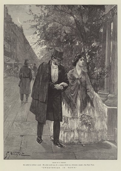 Églantier en ville - Gabriel Nicolet